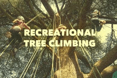 Tree-Climbing