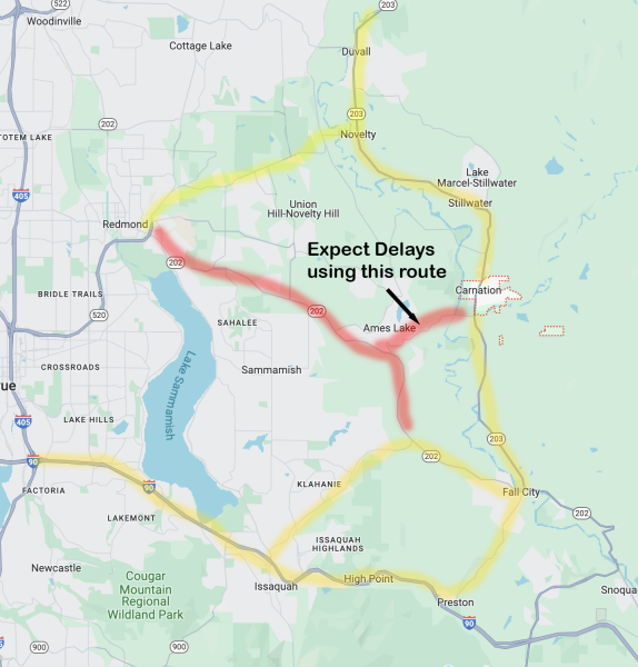 Timber 2024 road delay map