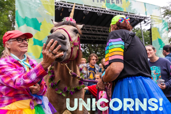 Unicorns Adventures